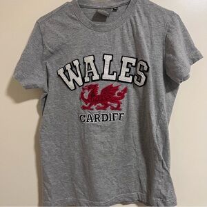 Manav Premier Clothing Men’s Grey Short Sleeve Wales Cardiff T-Shirt (Size L)